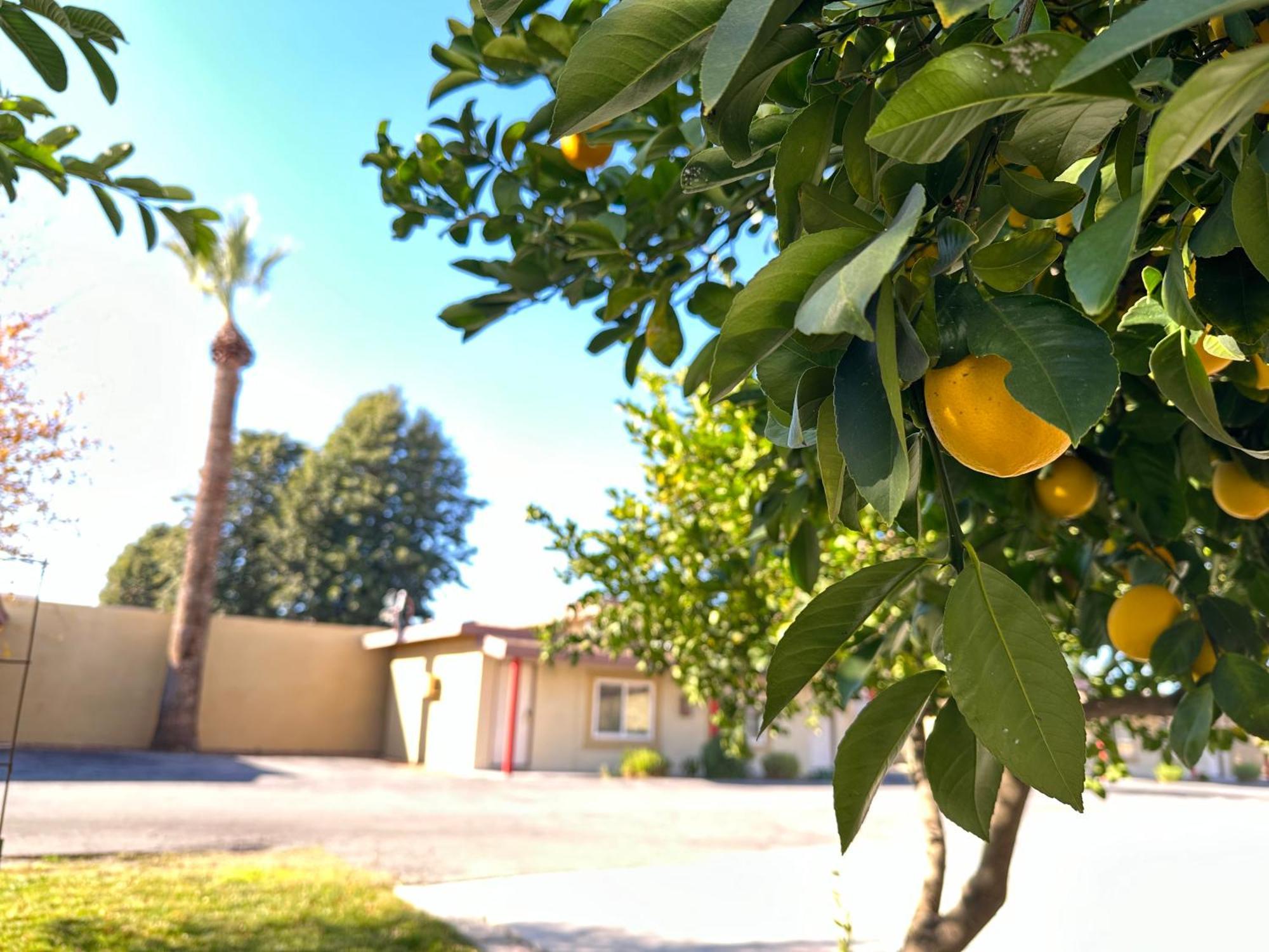 Royal Inn And Suites Hemet Εξωτερικό φωτογραφία