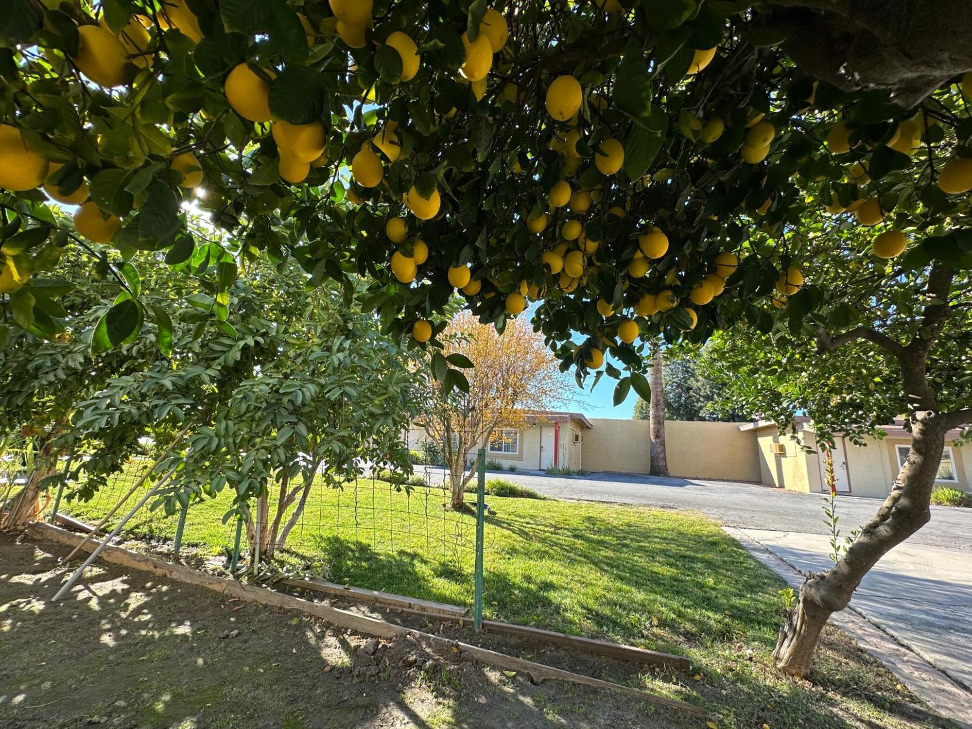 Royal Inn And Suites Hemet Εξωτερικό φωτογραφία